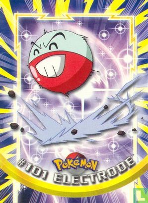 #101 Electrode - Afbeelding 1