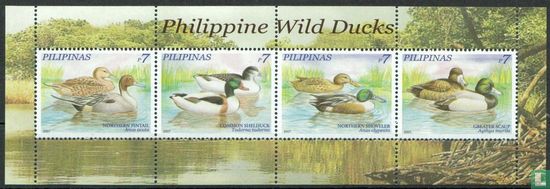 Ducks