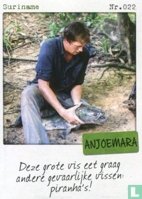 Suriname - Anjoemara - Image 1