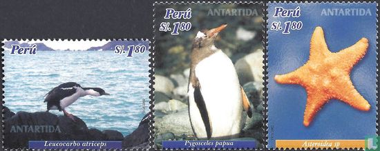 Antarctic Fauna