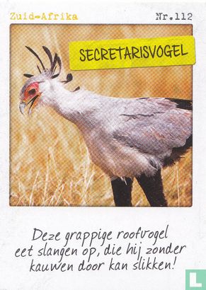 Zuid-Afrika - Secretarisvogel - Afbeelding 1