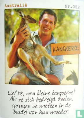 Australië - Kangoeroe - Afbeelding 1
