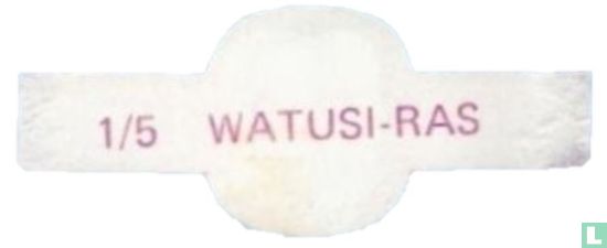 Watusi - ras - Afbeelding 2