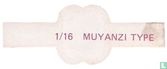 Muyanzi type - Afbeelding 2