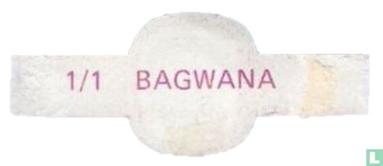 Bagwana   - Afbeelding 2
