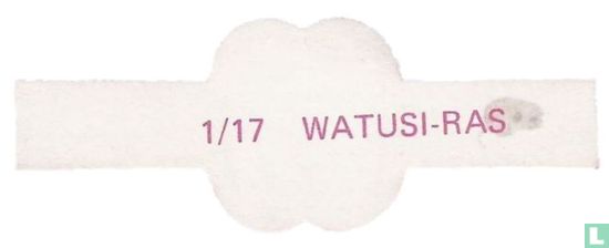 Watusi ras - Afbeelding 2