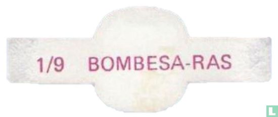 Bombesa - ras - Afbeelding 2