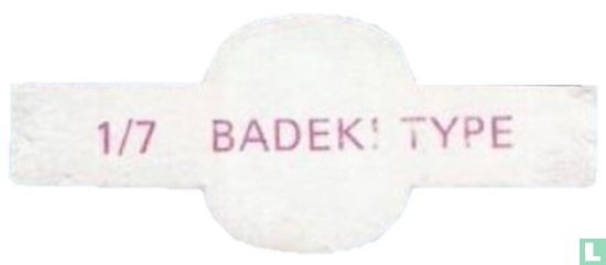 Badeki type - Bild 2