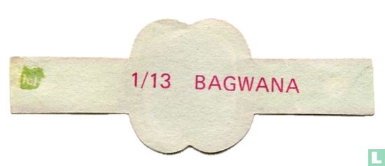 Bagwana - Afbeelding 2