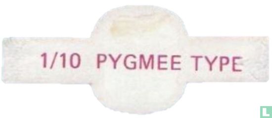 Pygmee type - Bild 2