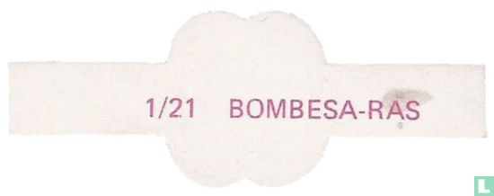 Type de Bombesa - Image 2