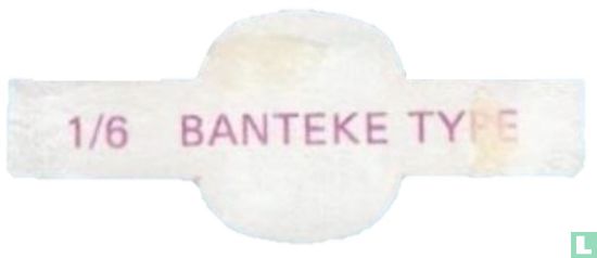 Banteke type - Bild 2