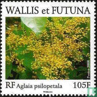Aglaia psilopetala