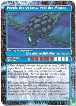 Turtle - Bild 1
