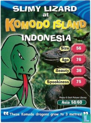 Slimy Lizard at Komodo Island Indonesia - Bild 1