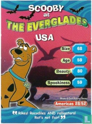 Scooby at The Everglades USA - Afbeelding 1