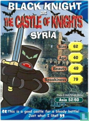 Black Knight at The Castle of Knights Syria - Afbeelding 1