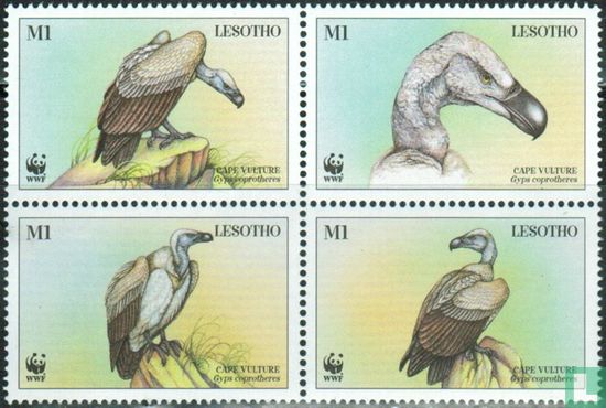 WWF Cape Vulture