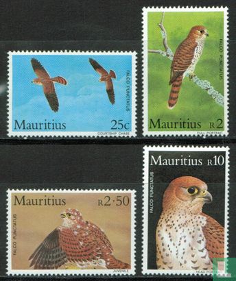 Mauritius Torenvalk
