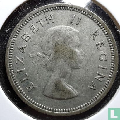 Afrique du Sud 1 shilling 1959 - Image 2