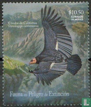 Threatened Species  - Condor