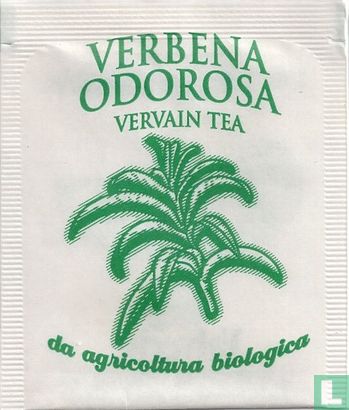 Verbena Odorosa - Afbeelding 1