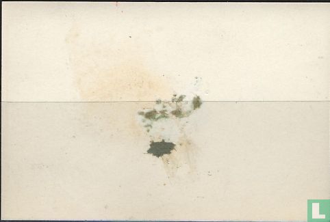 Arche Scaligero - Image 2