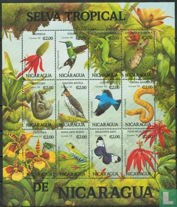 Animals and plants of the tropical forest