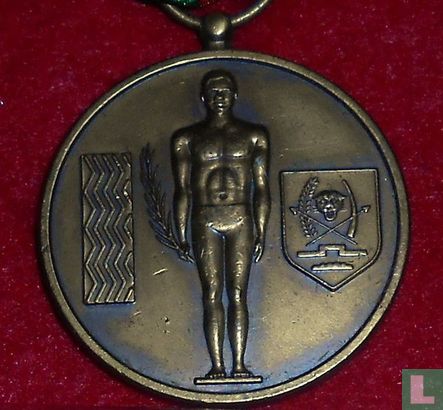 Republic of Zaire Sporting Merit Medal, with original Ribbon (bronze)  1978 - Afbeelding 1