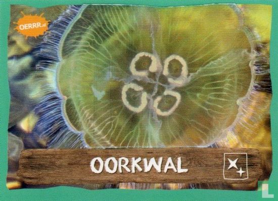 Oorkwal - Image 1