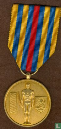 Democratic Republic of Congo (Zaire) Sporting Merit Medal, with original Ribbon (gilded gold)  1997 - Afbeelding 3