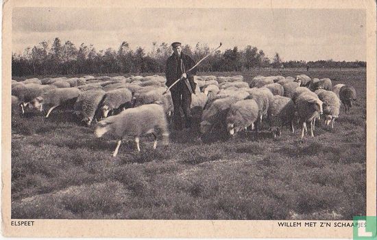 Willem met zijn schaapjes  - Afbeelding 1
