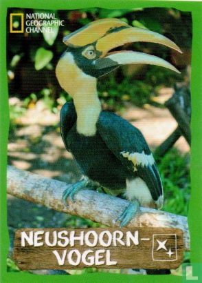 Neushoornvogel - Image 1