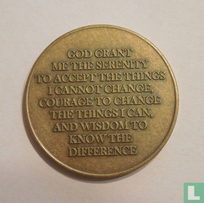 USA  AA Recovery  10 Years of Sobriety  (Serenity, Courage, & Wisdom) - Image 2