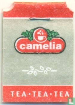 Camelia Royal aroma  - Bild 3