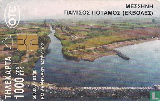 Pamisos river - Afbeelding 1