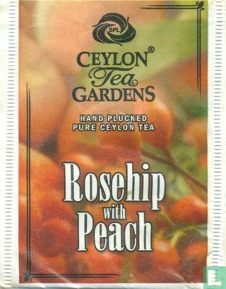 Rosehip with Peach  - Afbeelding 1