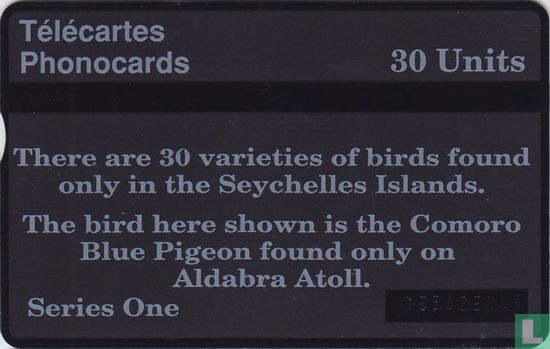 Comoro Blue Pigeon - Afbeelding 2