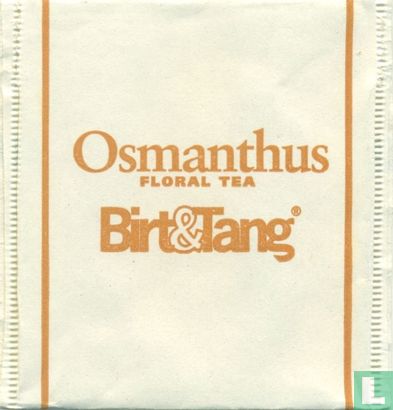 Osmanthus - Bild 1