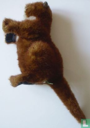 Marmot  - Image 1