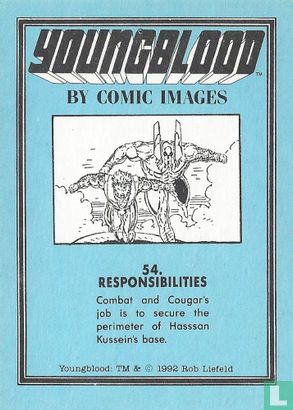 Responsibilities - Image 2