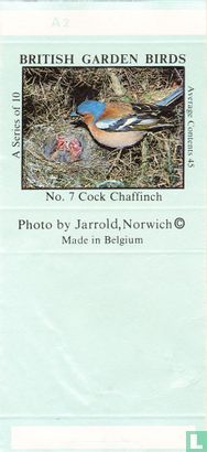 Cock Chaffinch