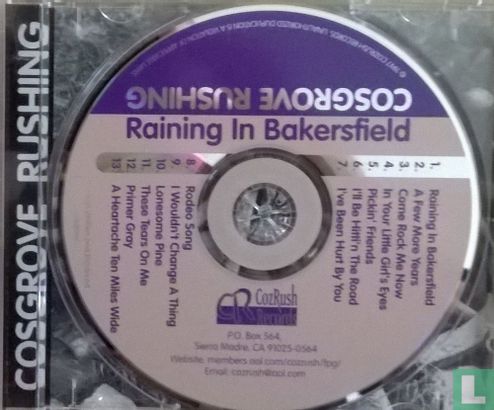 Raining in Bakersfield - Image 3