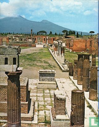 Pompeii nu en 2000 jaar geleden - Afbeelding 2