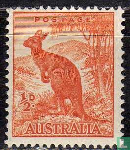 Känguru - Bild 1