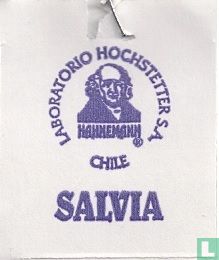Salvia - Image 3