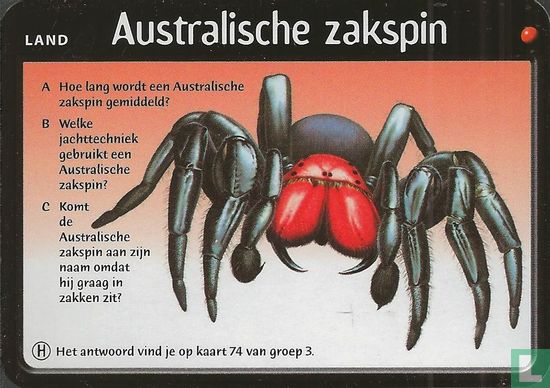 Australische zakspin - Image 1