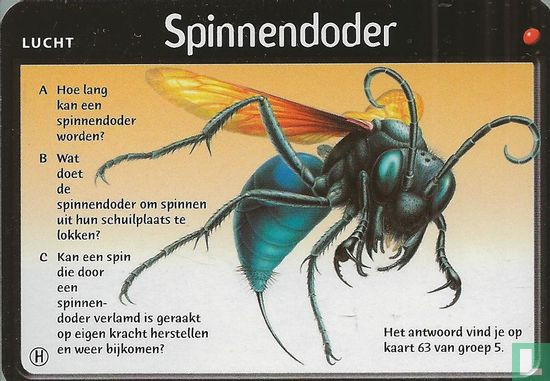 Spinnendoder - Image 1