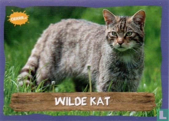 Wilde kat - Afbeelding 1
