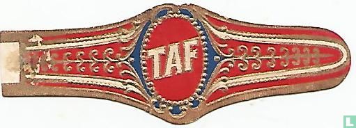 TAF - Bild 1